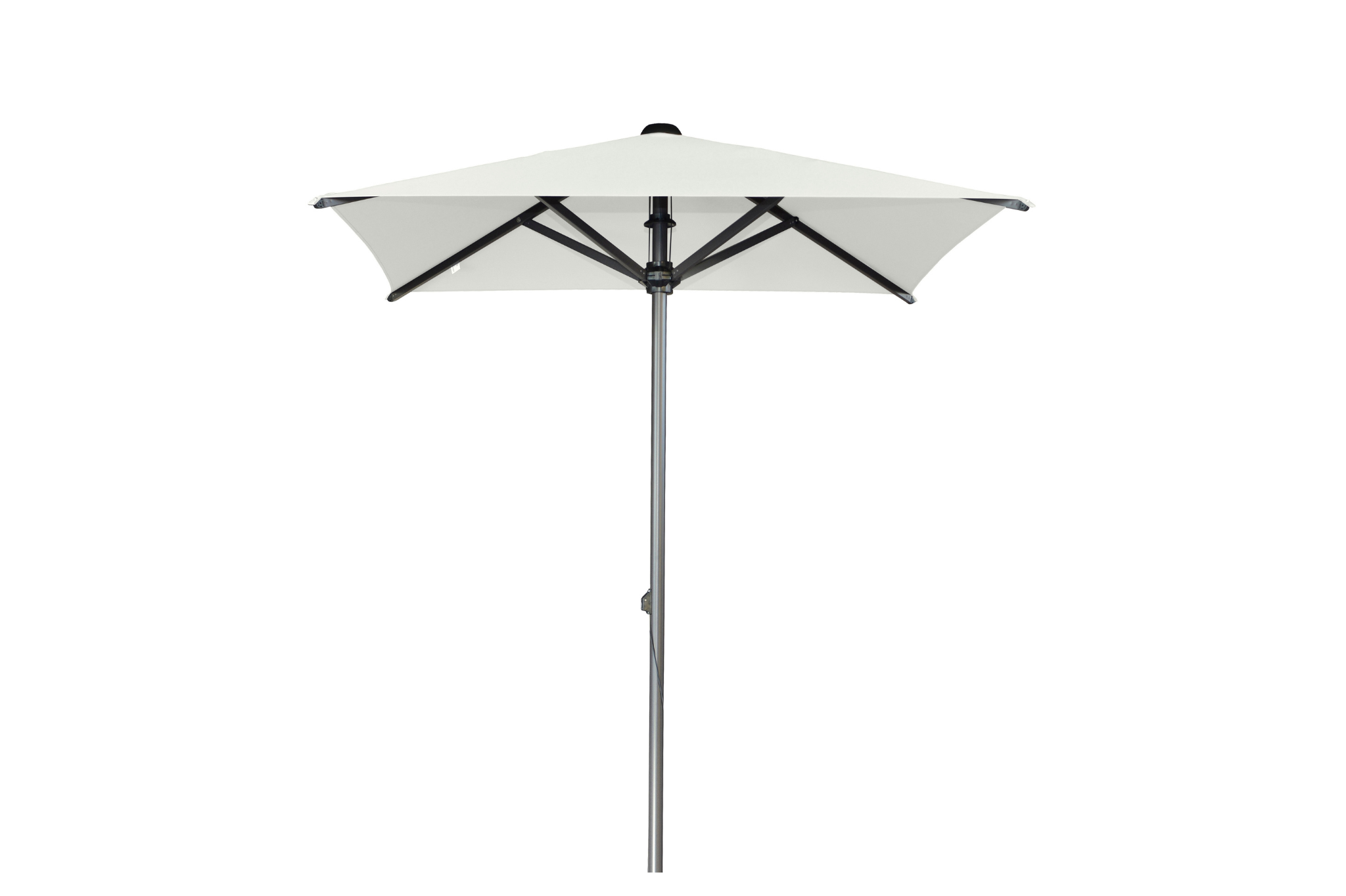 sunbrella | wit