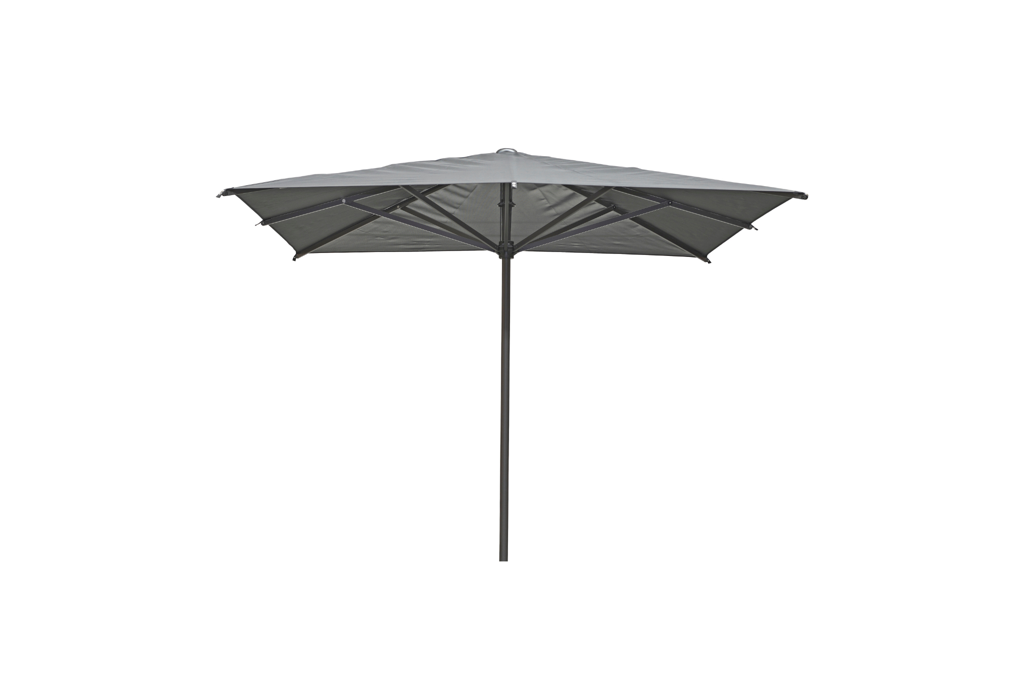 Batyline | zwart