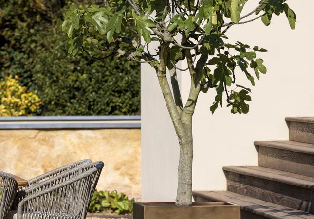 Borek Borek | Aurora | Planter | 61x61