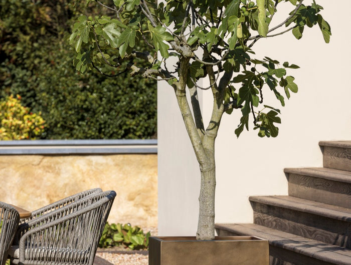 Borek Borek | Aurora | Planter | 61x61