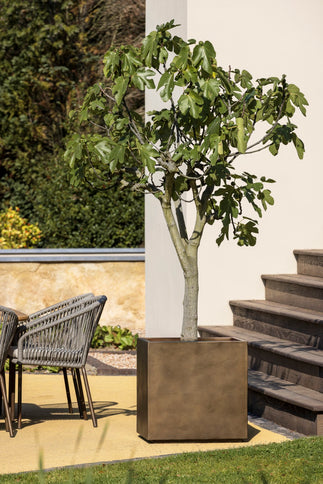 Borek Borek | Aurora | Planter | 61x61