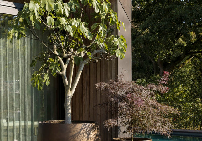 Borek Borek | Aurora | Planter | Ø61x61