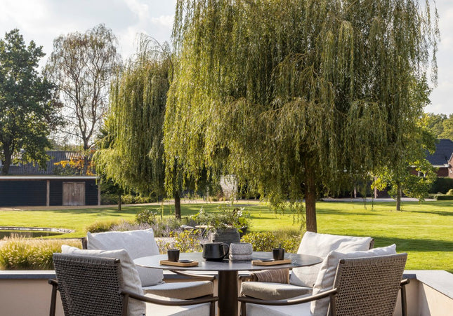 Borek Borek | Navarra | Low Dining Chair |