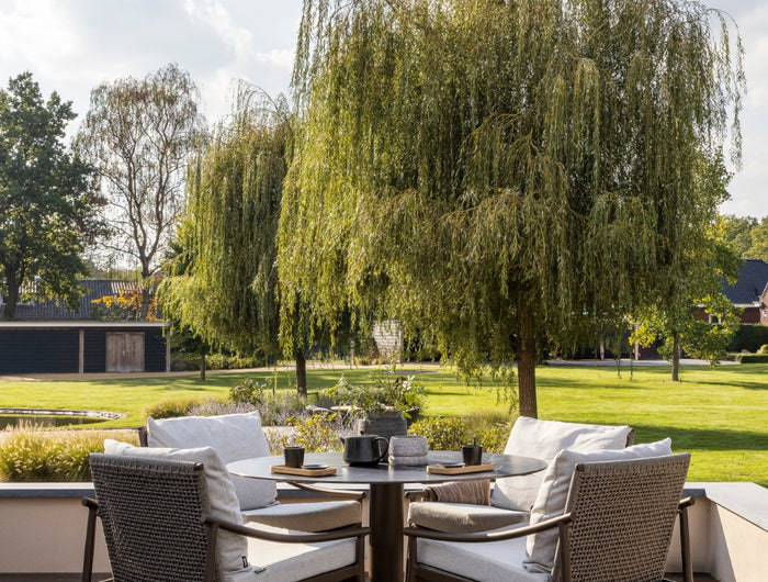 Borek Borek | Navarra | Low Dining Chair |