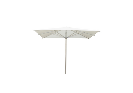 Borek Borek | Reflex | Parasol | 300X300