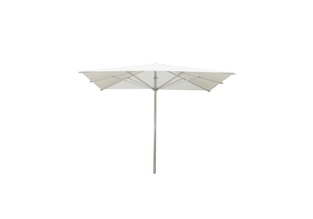 Borek Borek | Reflex | Parasol | 300X300