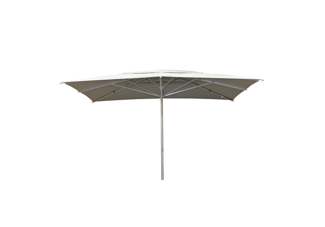 Borek Borek | Reflex | Parasol | 300X400
