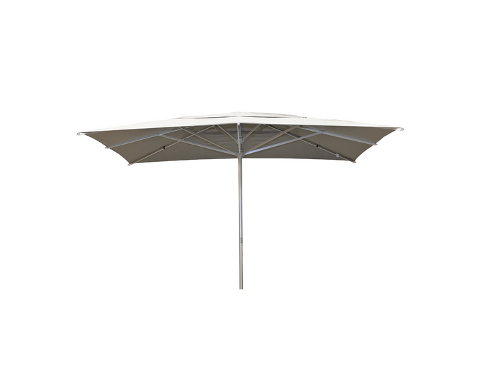 Borek Borek | Reflex | Parasol | 300X400