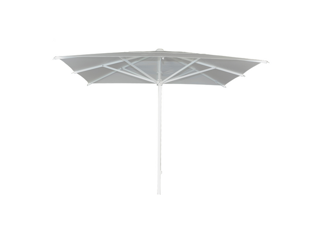Borek Florida | Parasol |