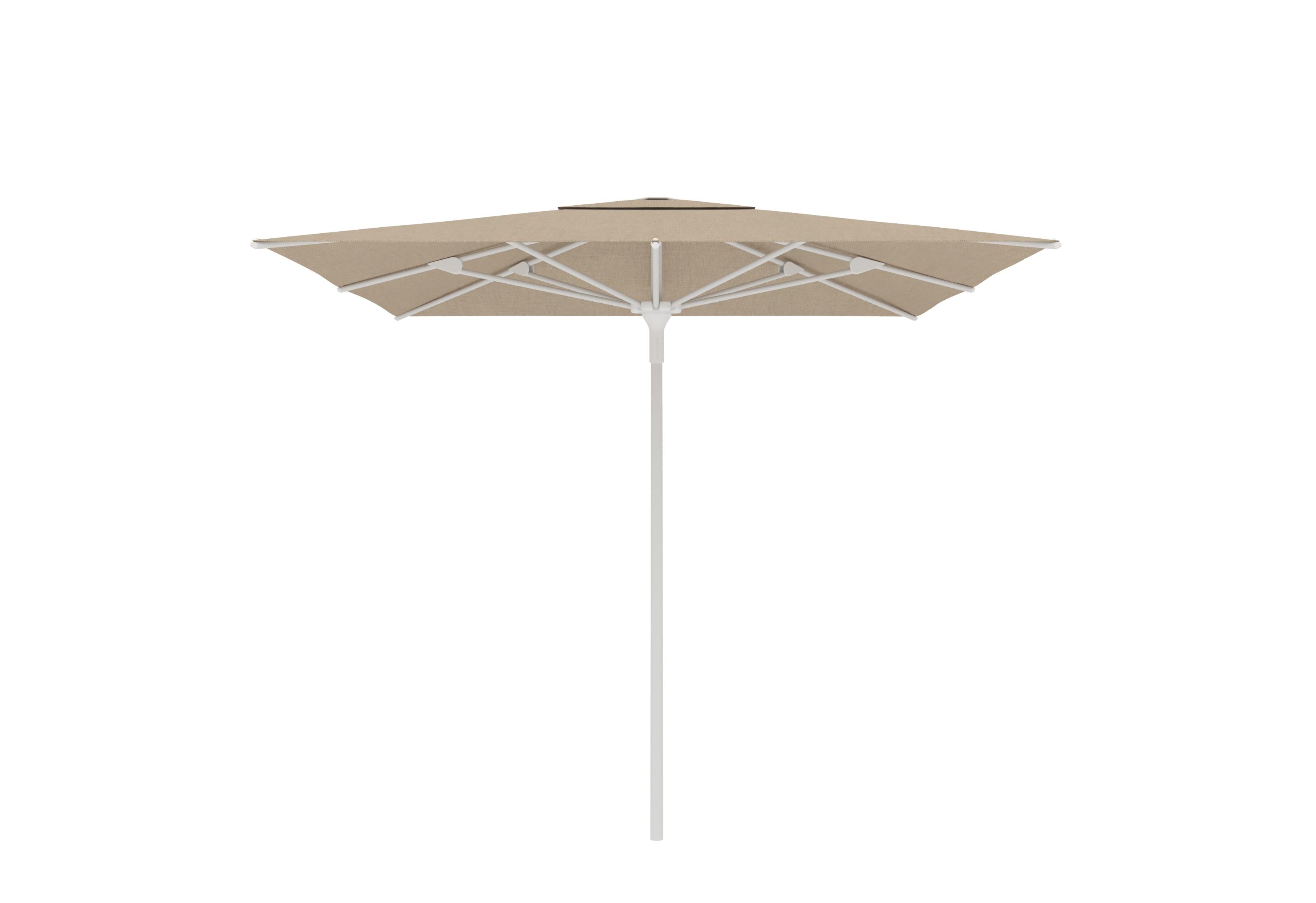 White A01 / Latte C010