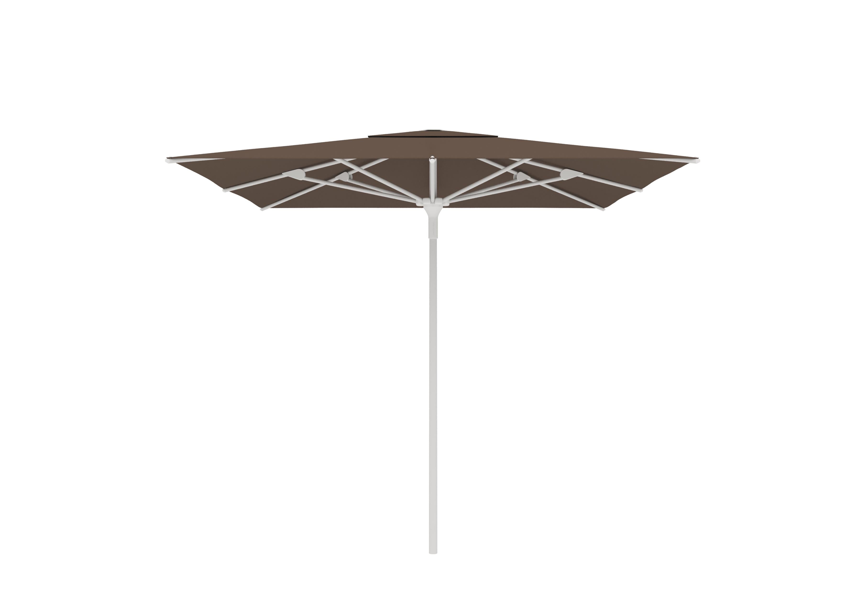 White A01 / Taupe C301