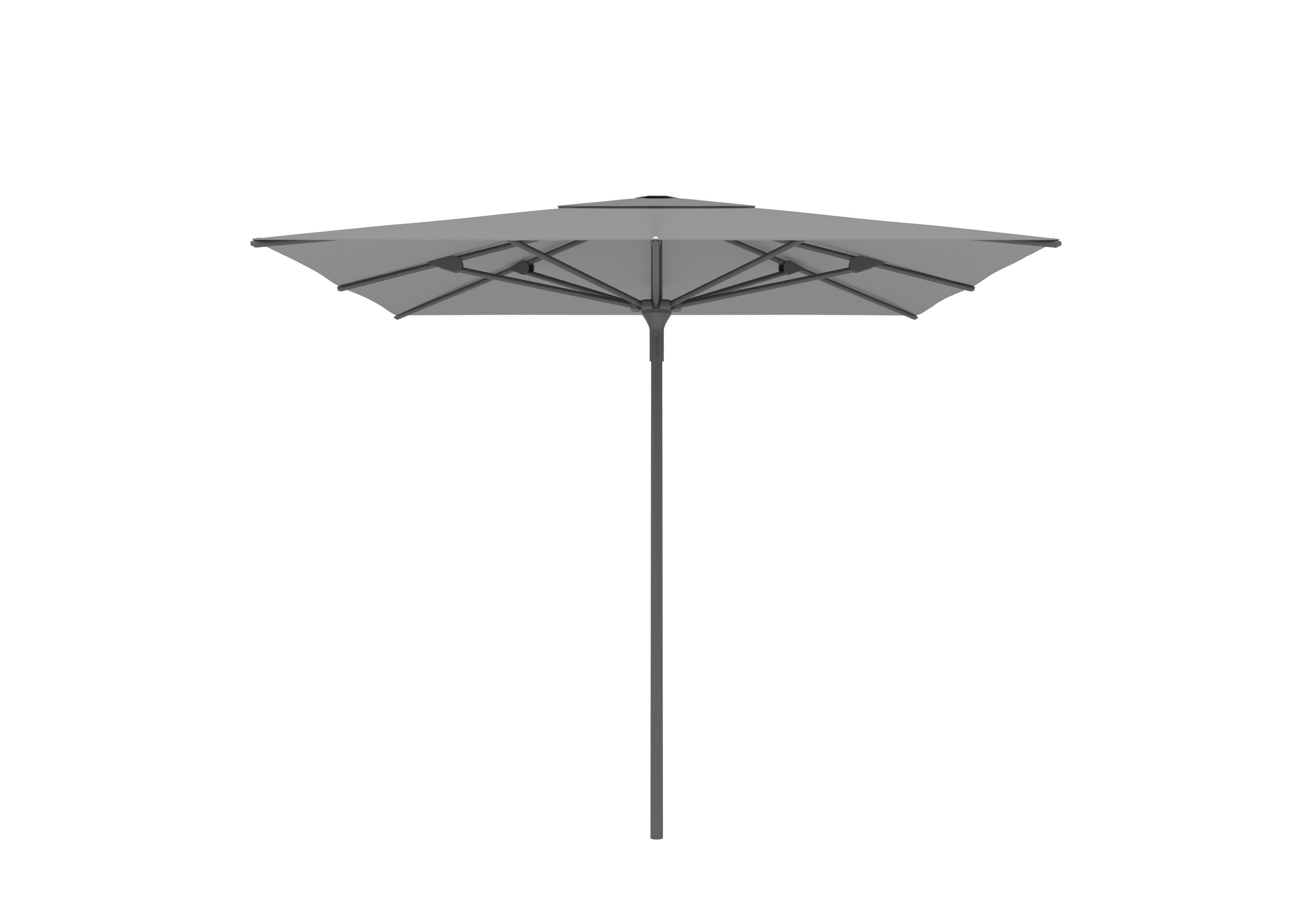 Antraciet A30 / Gris nature C106