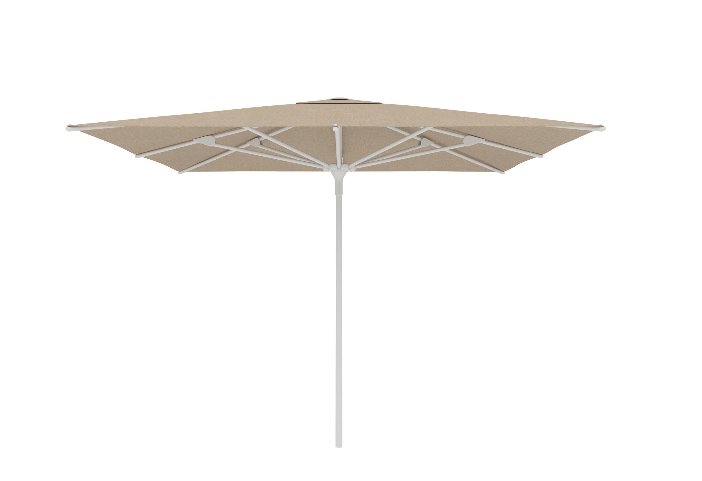 White A01 / Latte C010