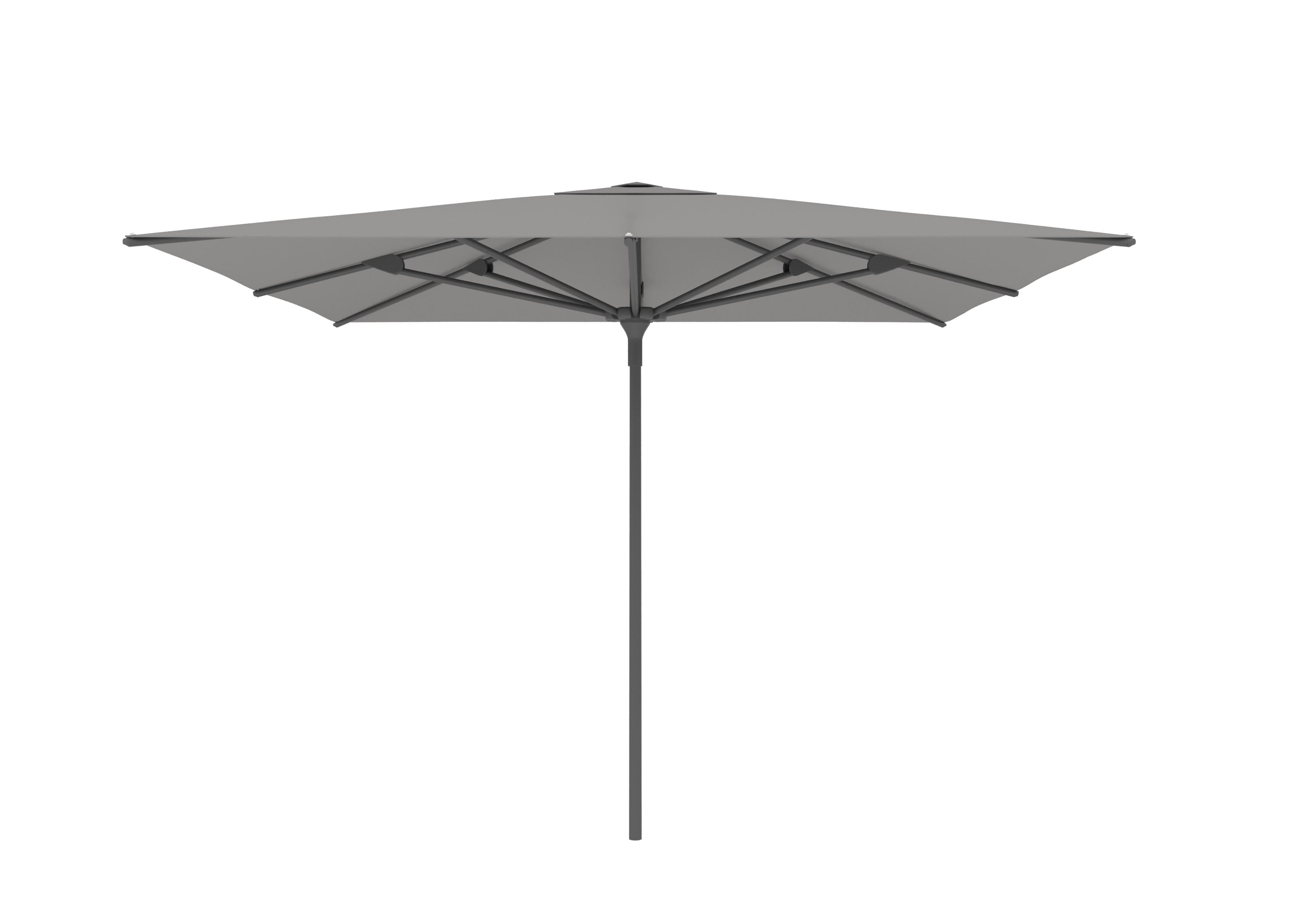 Antraciet A30 / Gris nature C106