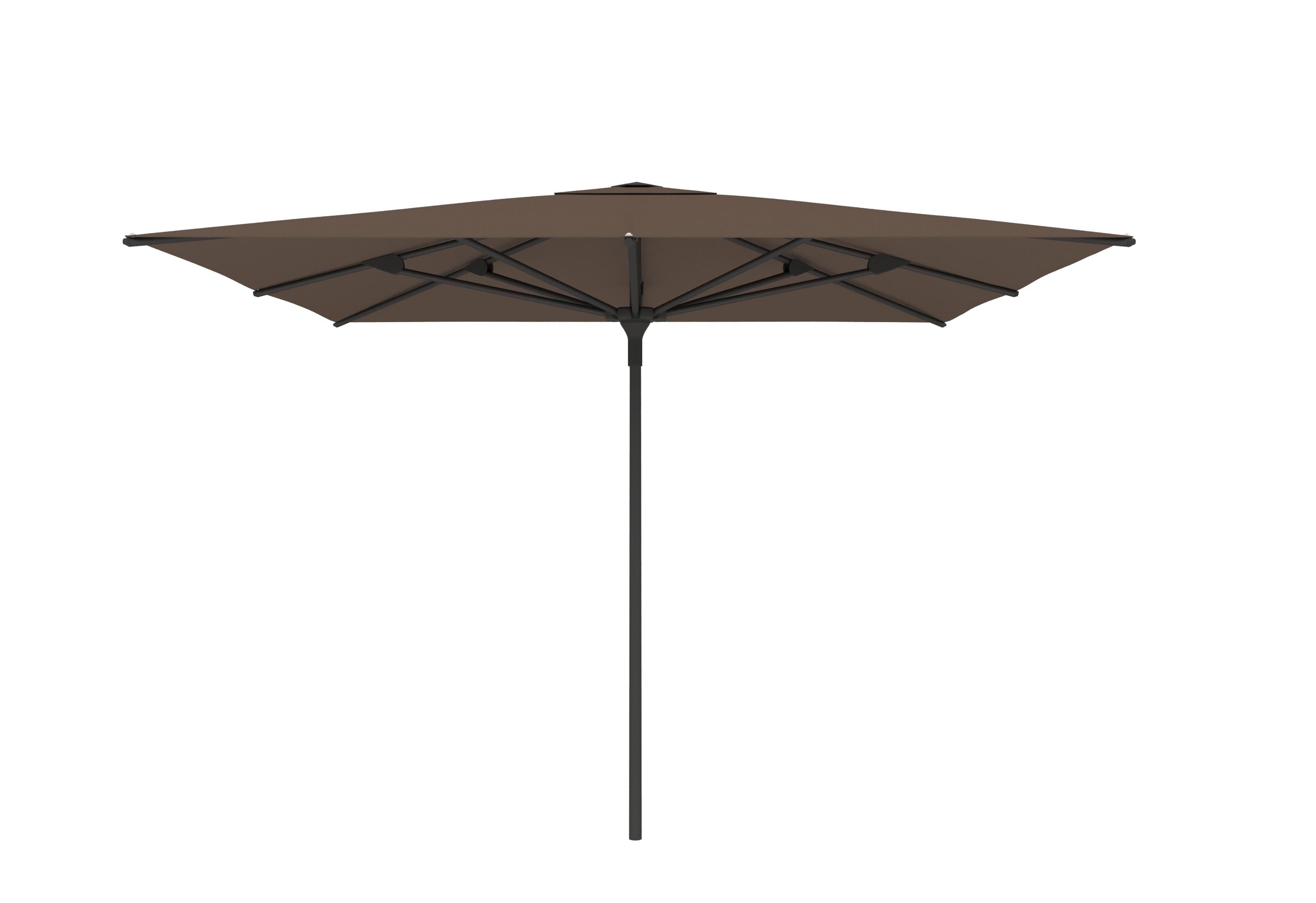 Black A32 / Taupe C301