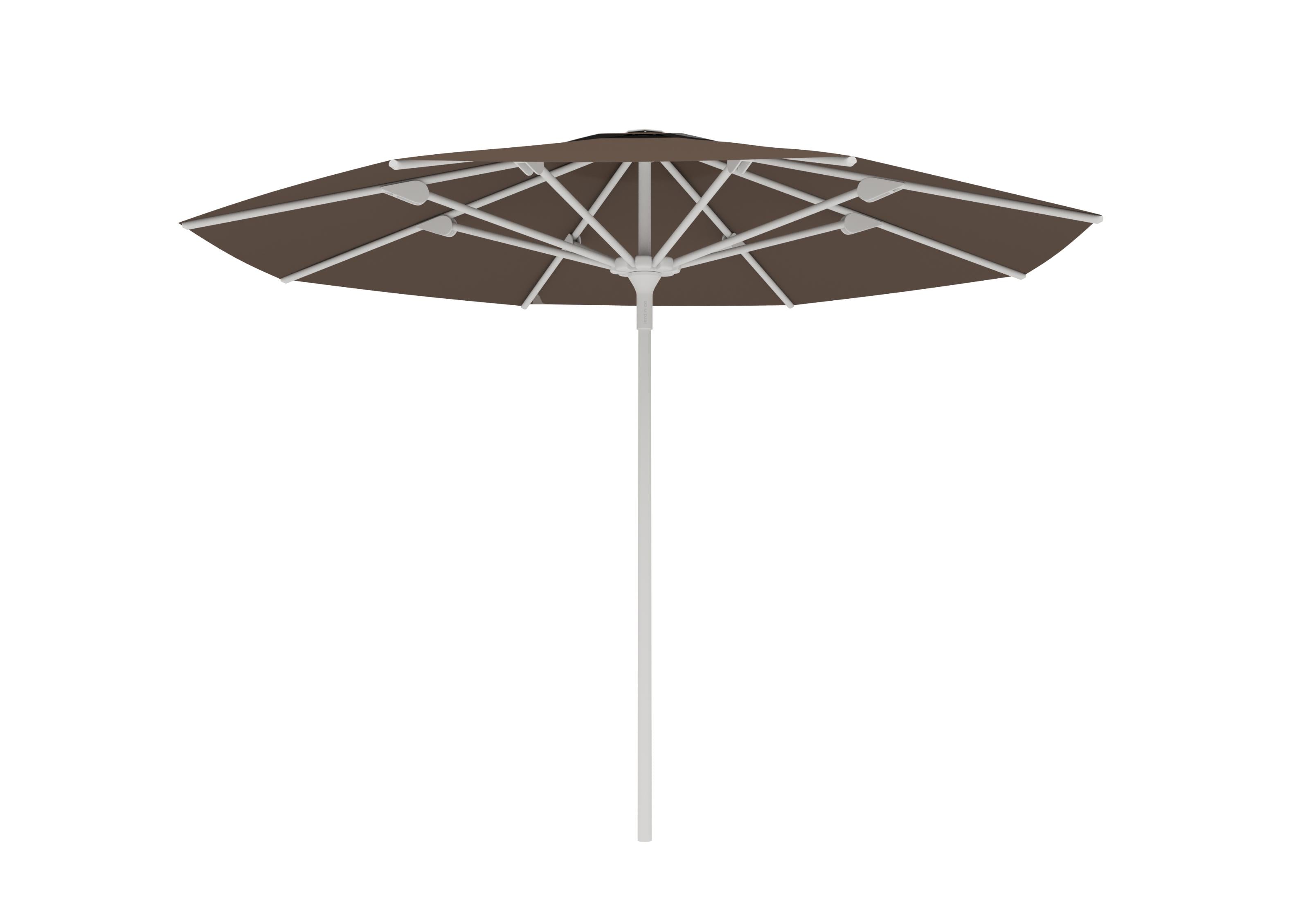 White A01 / Taupe C301