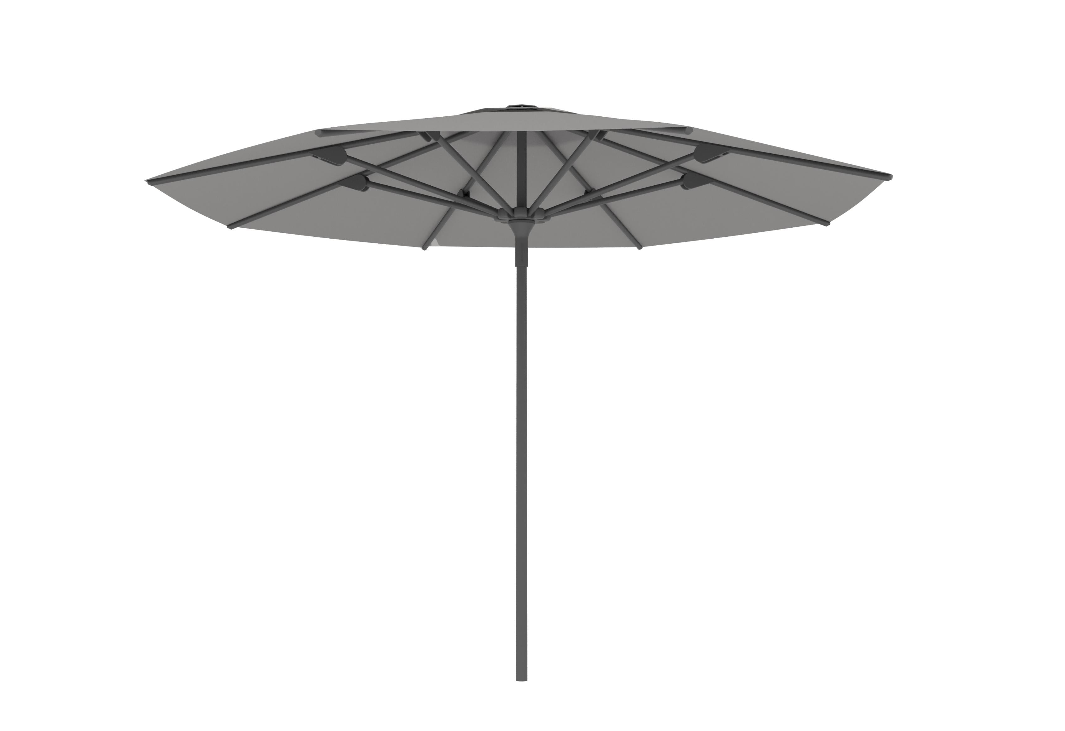 Antraciet A30 / Gris nature C106