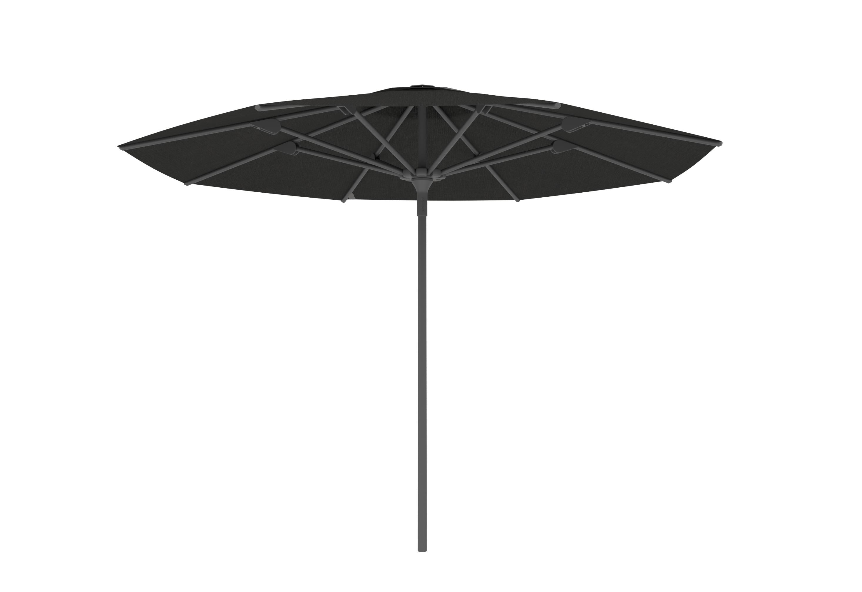 Antraciet A30 / Black C208