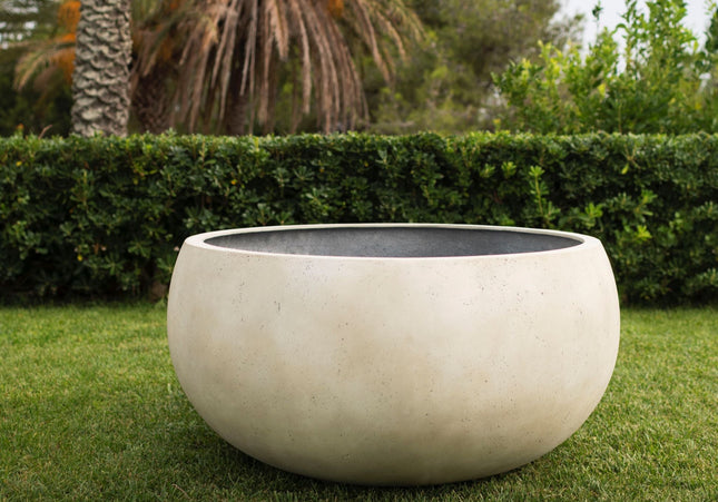 Jardinico Jardinico | Cumino | Potten | Fungo |