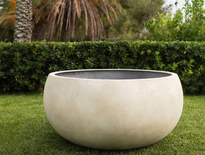 Jardinico Jardinico | Cumino | Potten | Fungo |