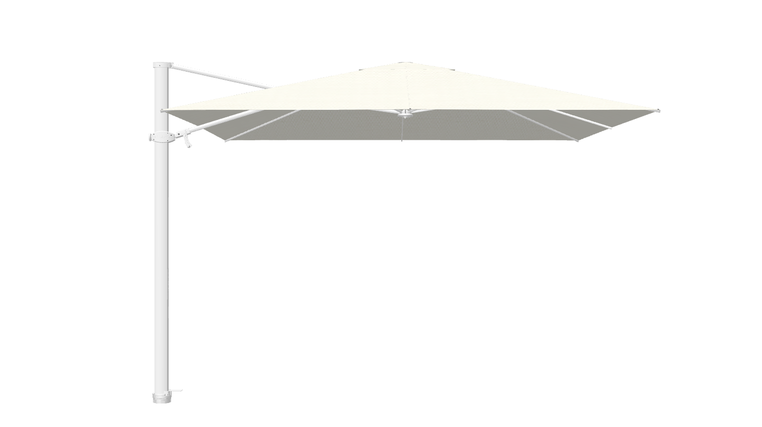Wit / Tofu C019 (Cat 2)