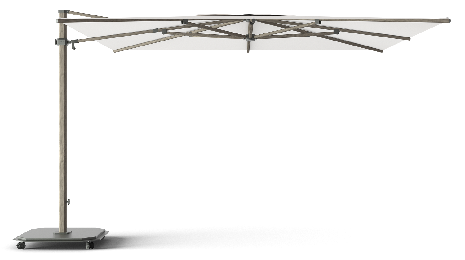 Cappuccino / Pearl (Cat 3)