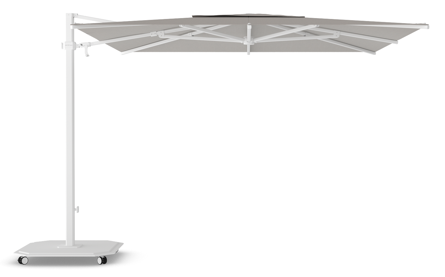 Wit / Umber (Cat 3)
