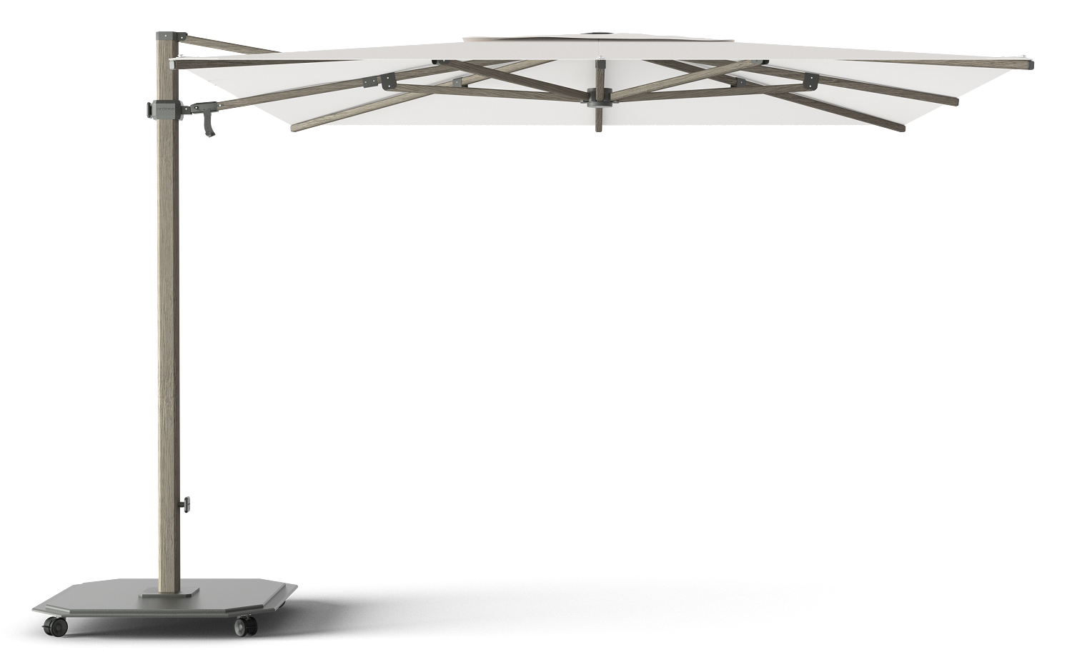 Cappuccino / Pearl  (Cat 3)