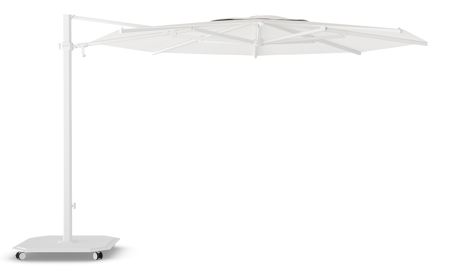 Wit / Pearl (Cat 3)
