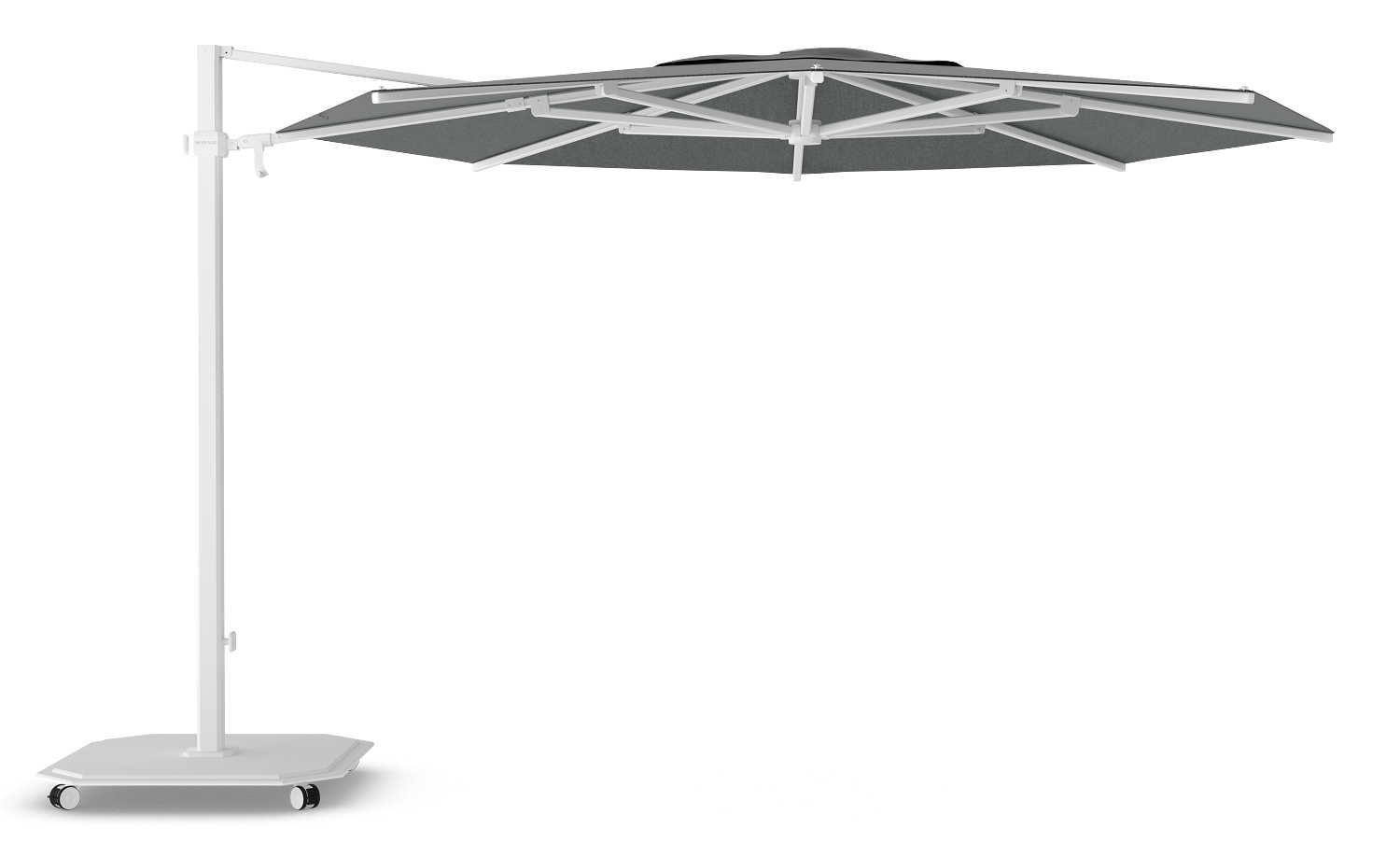Wit / Onyx (Cat 3)