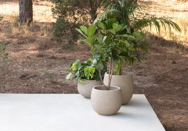 Jardinico Jardinico | Terra | Potten | Balloon High |