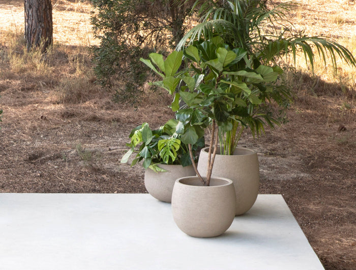 Jardinico Jardinico | Terra | Potten | Balloon High |