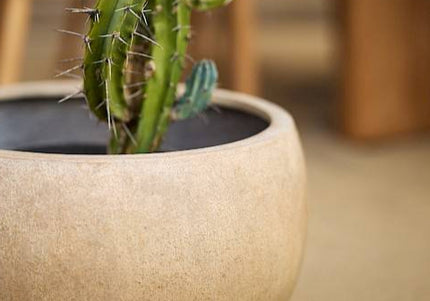 Jardinico Jardinico | Terra | Potten | Cerchio | Set van 3 potten |