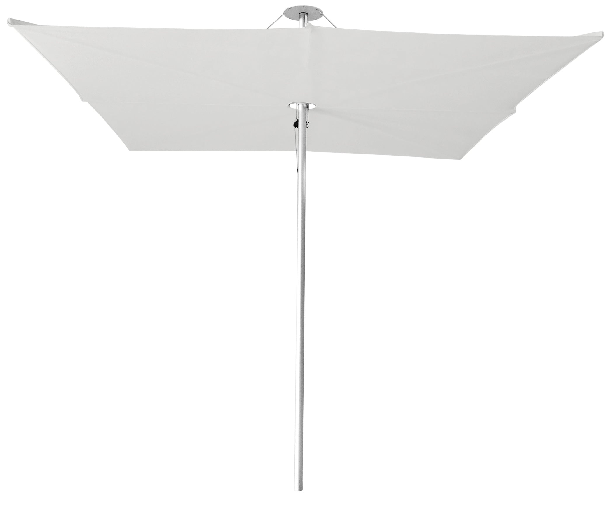 Alu / Canvas