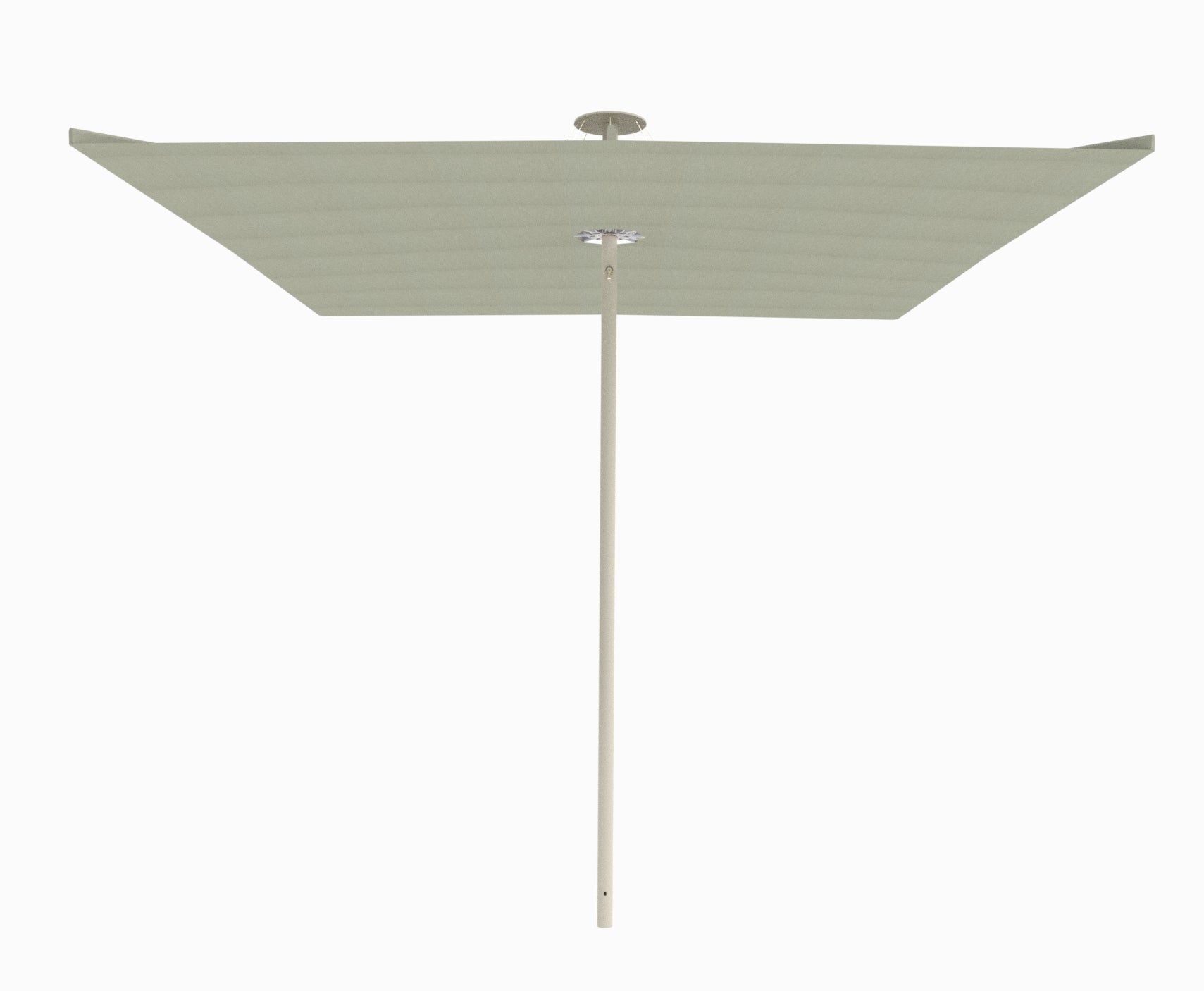 Beige Limestone / Apio