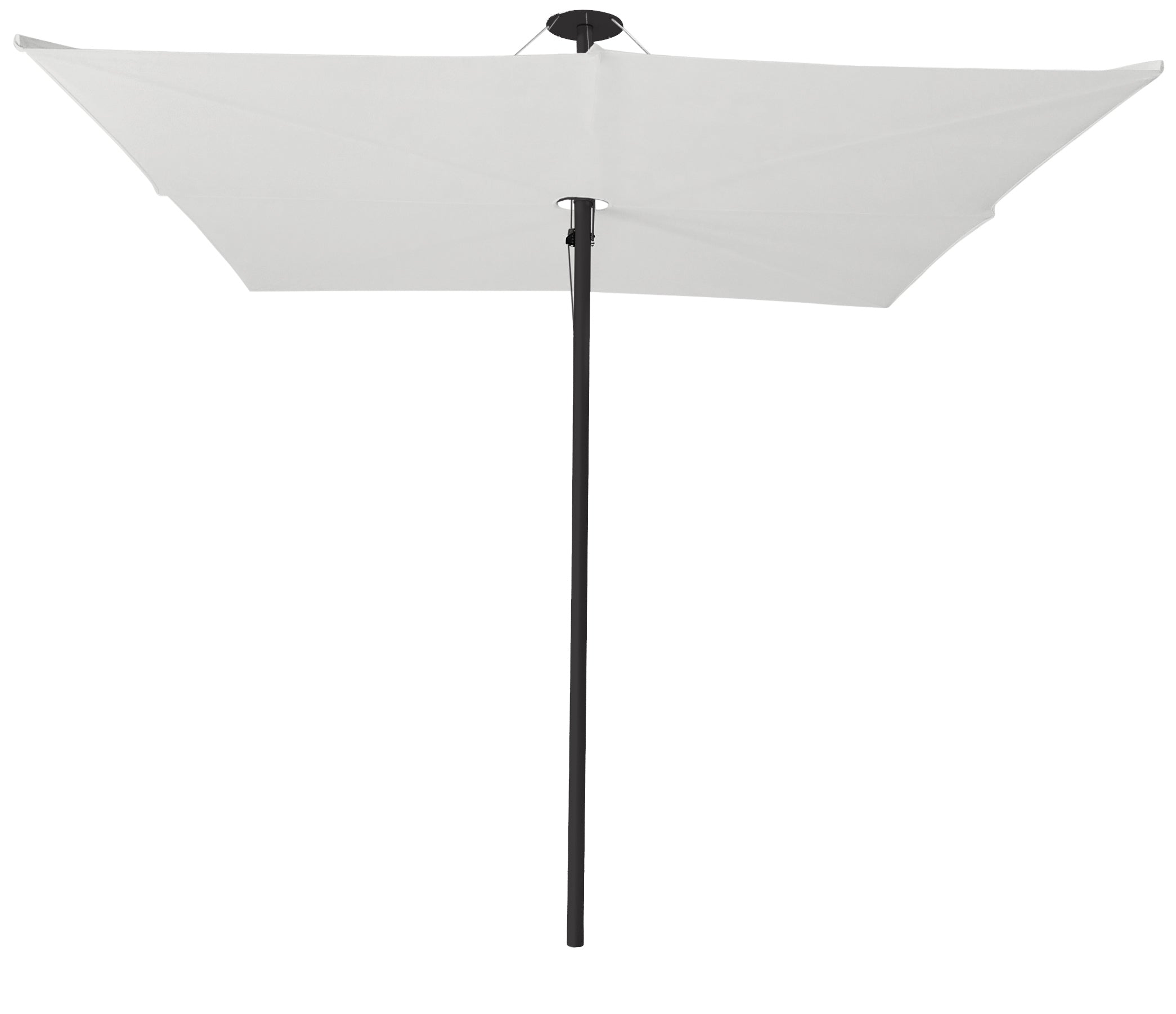 Zwart / Canvas