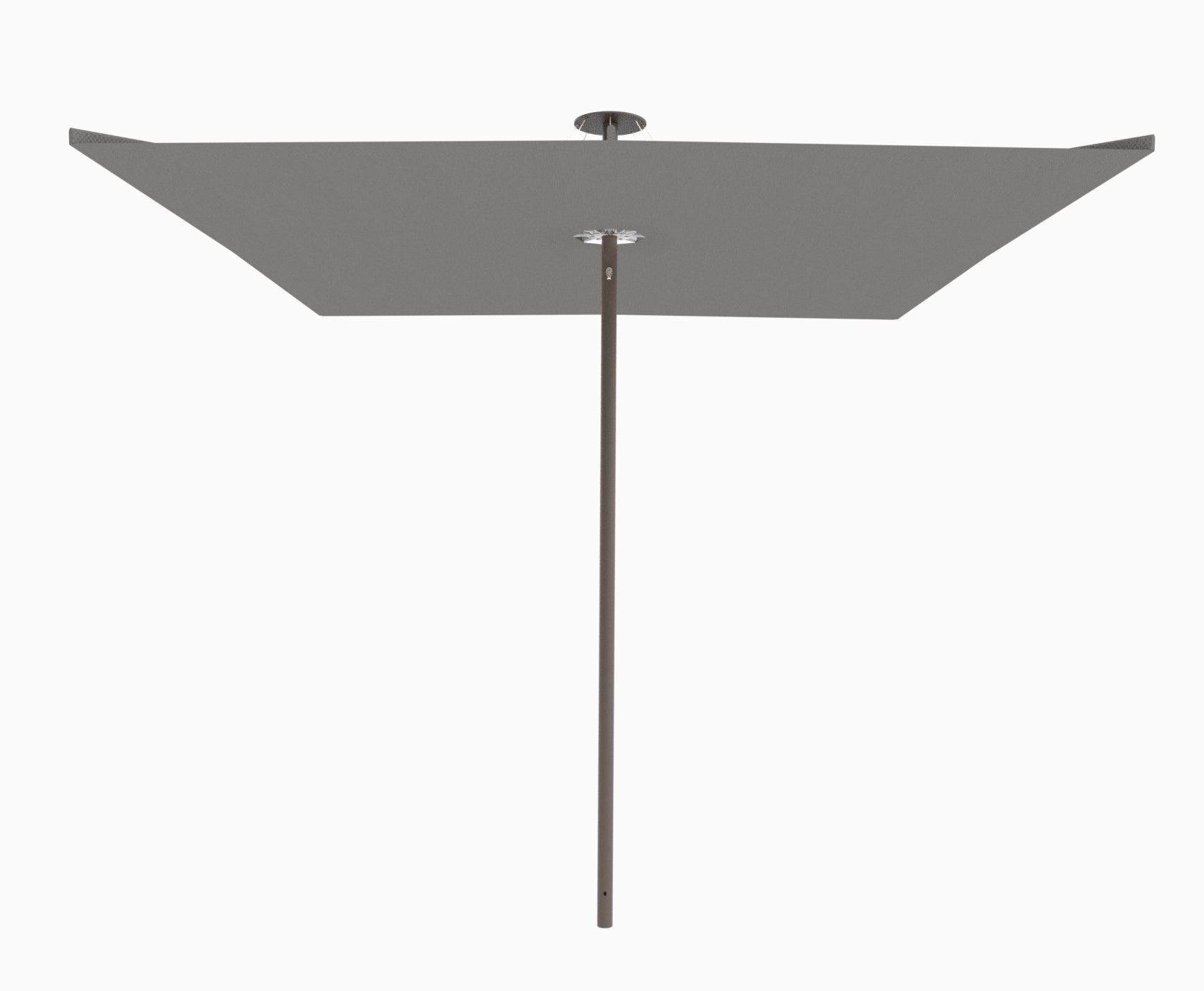 Bronze / Grey