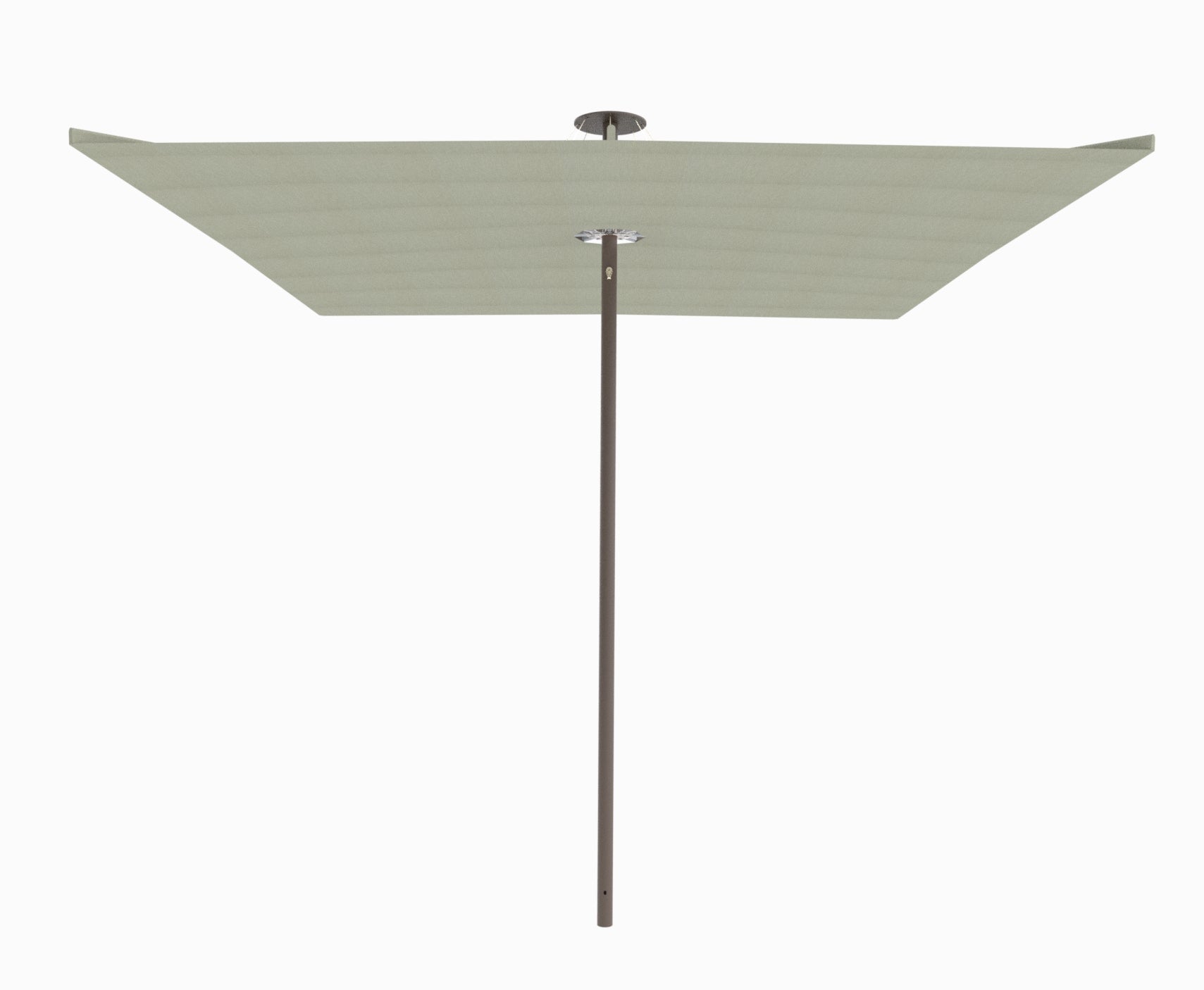Bronze / Apio