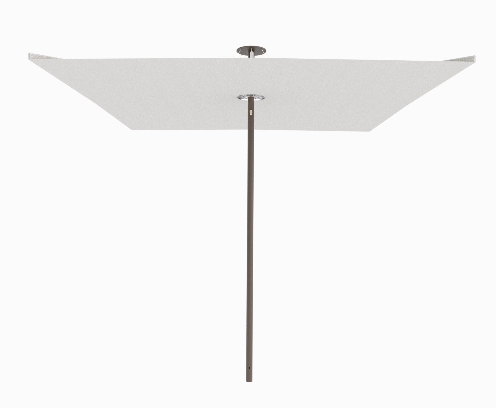 Bronze / Canvas
