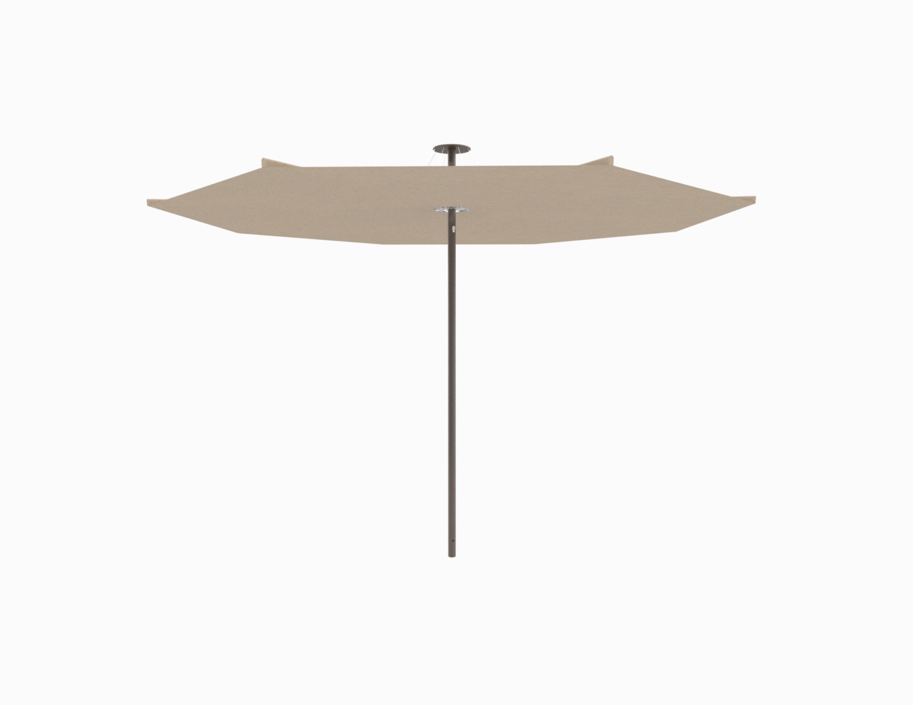 Bronze / Sand (QS)