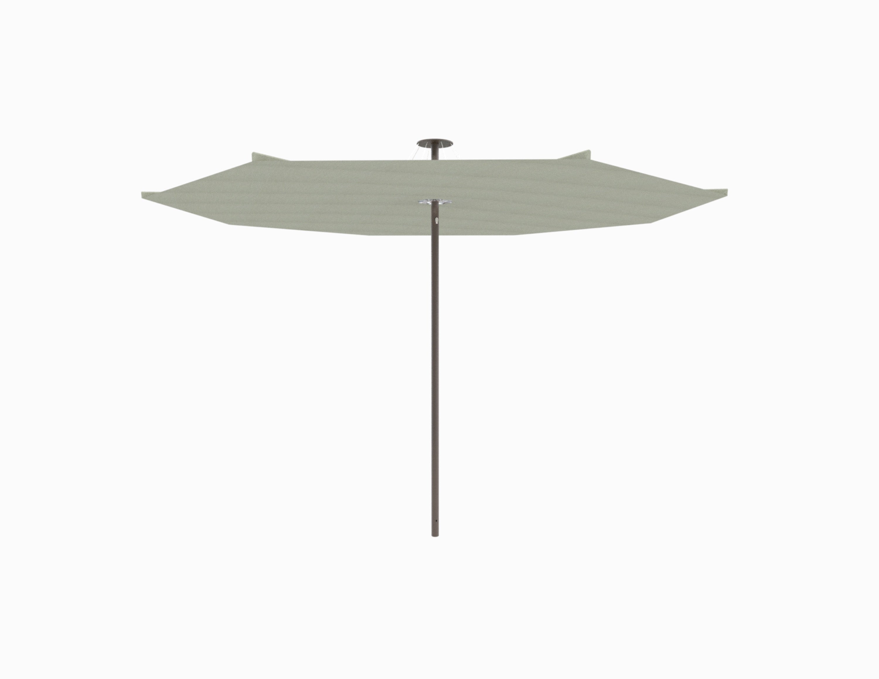 Bronze / Apio
