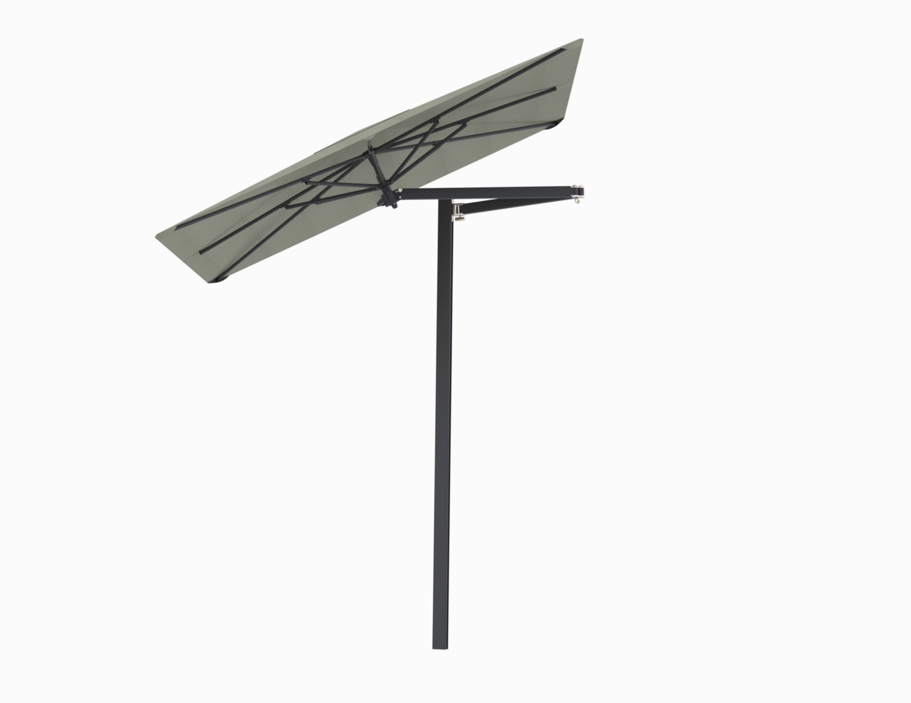 Zwart / 2x2 m / Apio