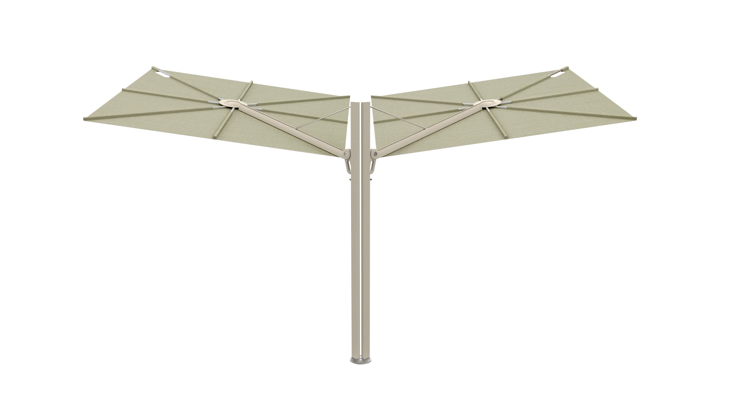 Beige Limestone / Apio