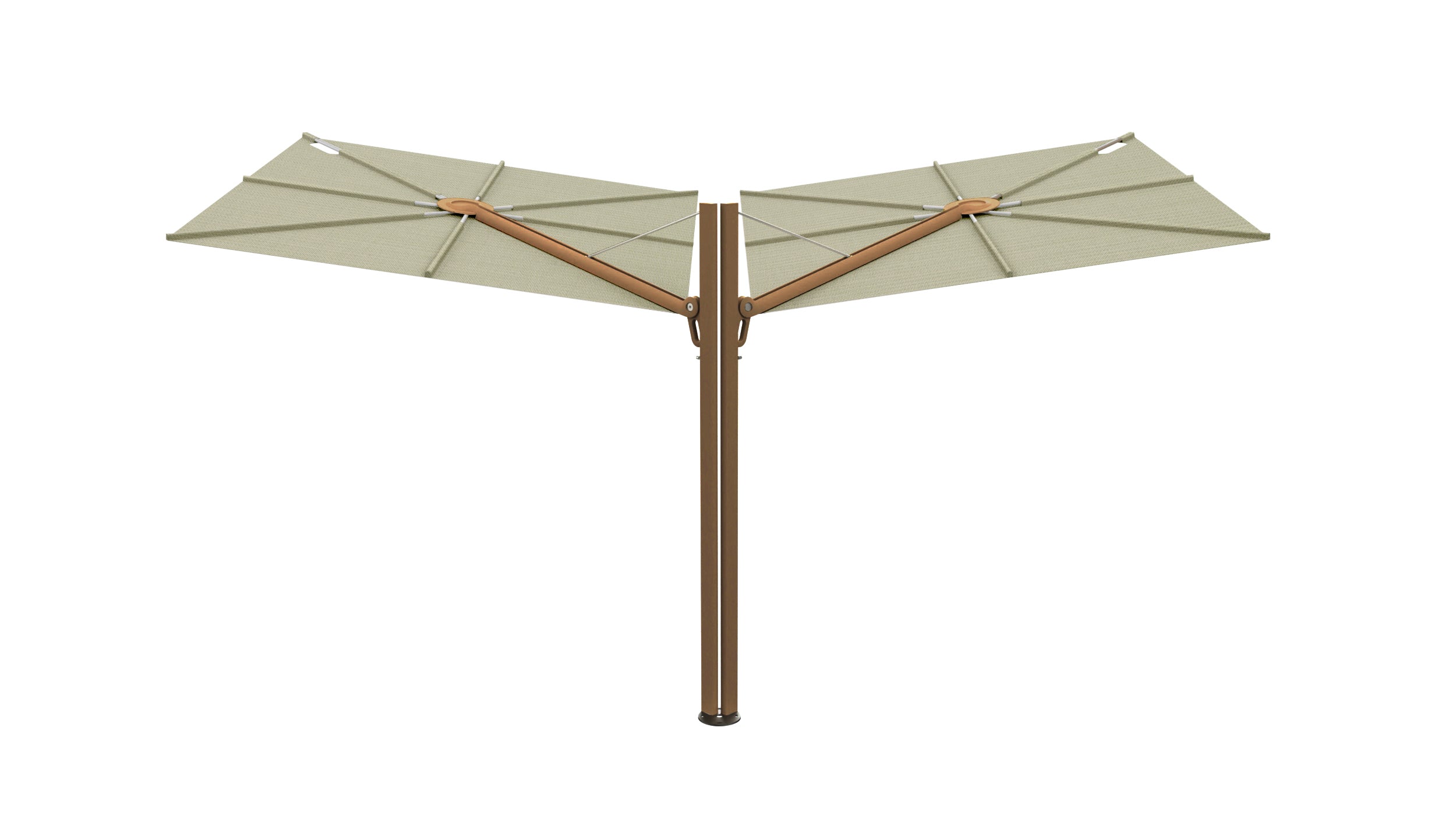 Bronze / Apio