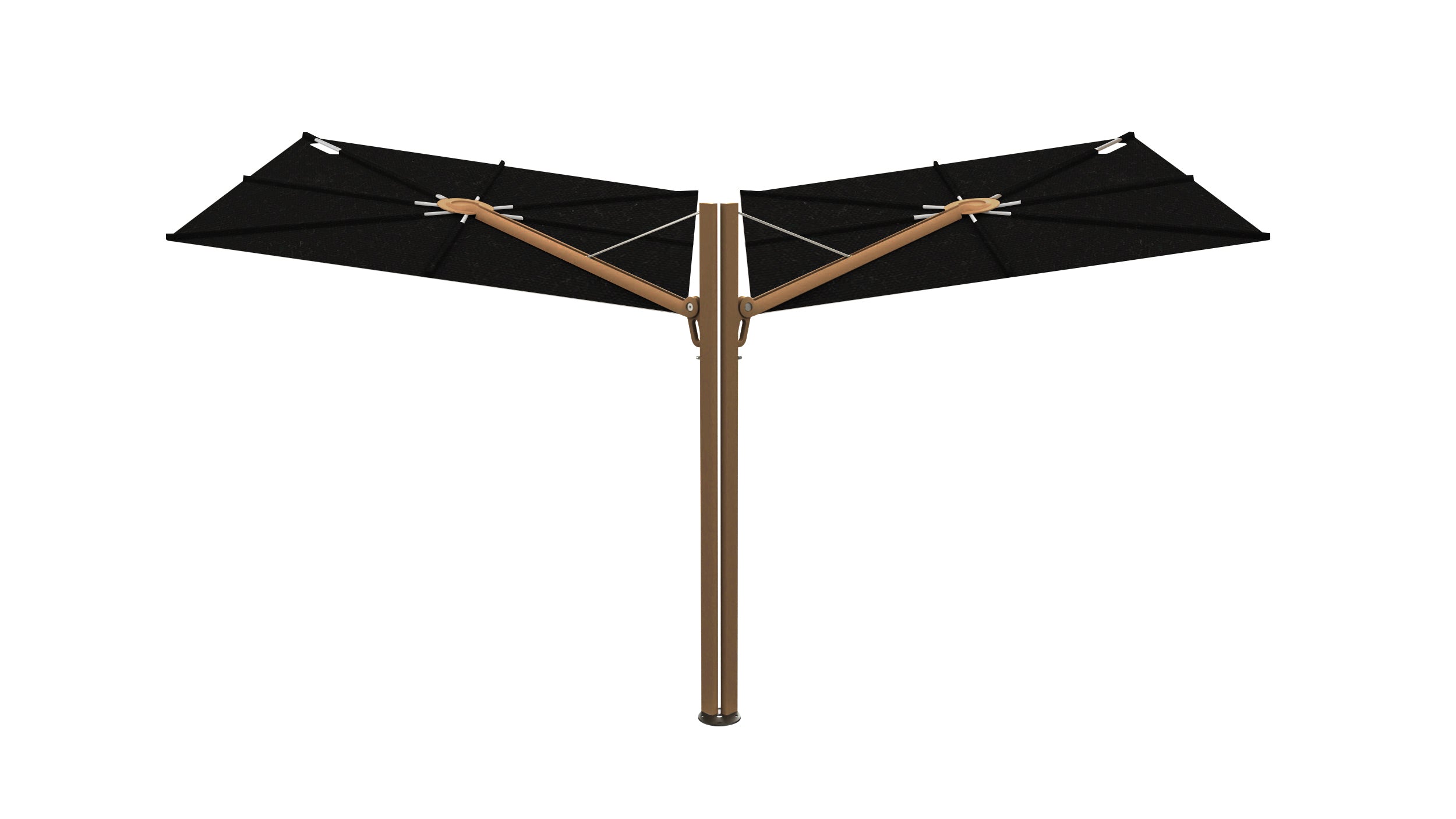 Bronze / Black