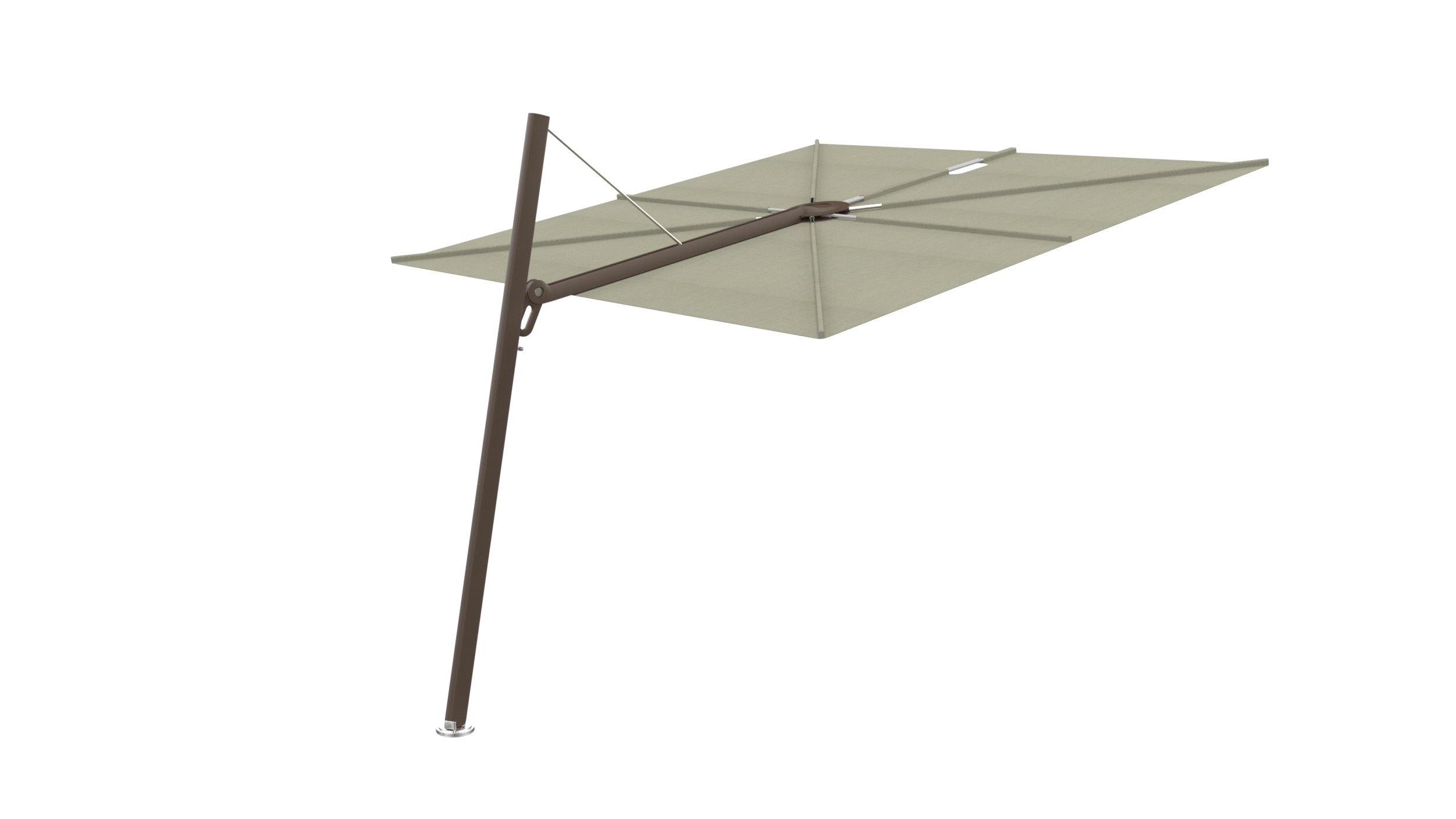 Bronze / 2.5x2.5m / Apio