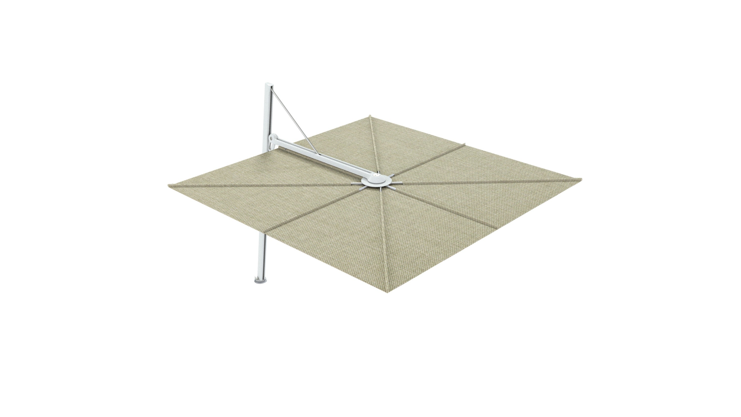 Papyrus white / Apio