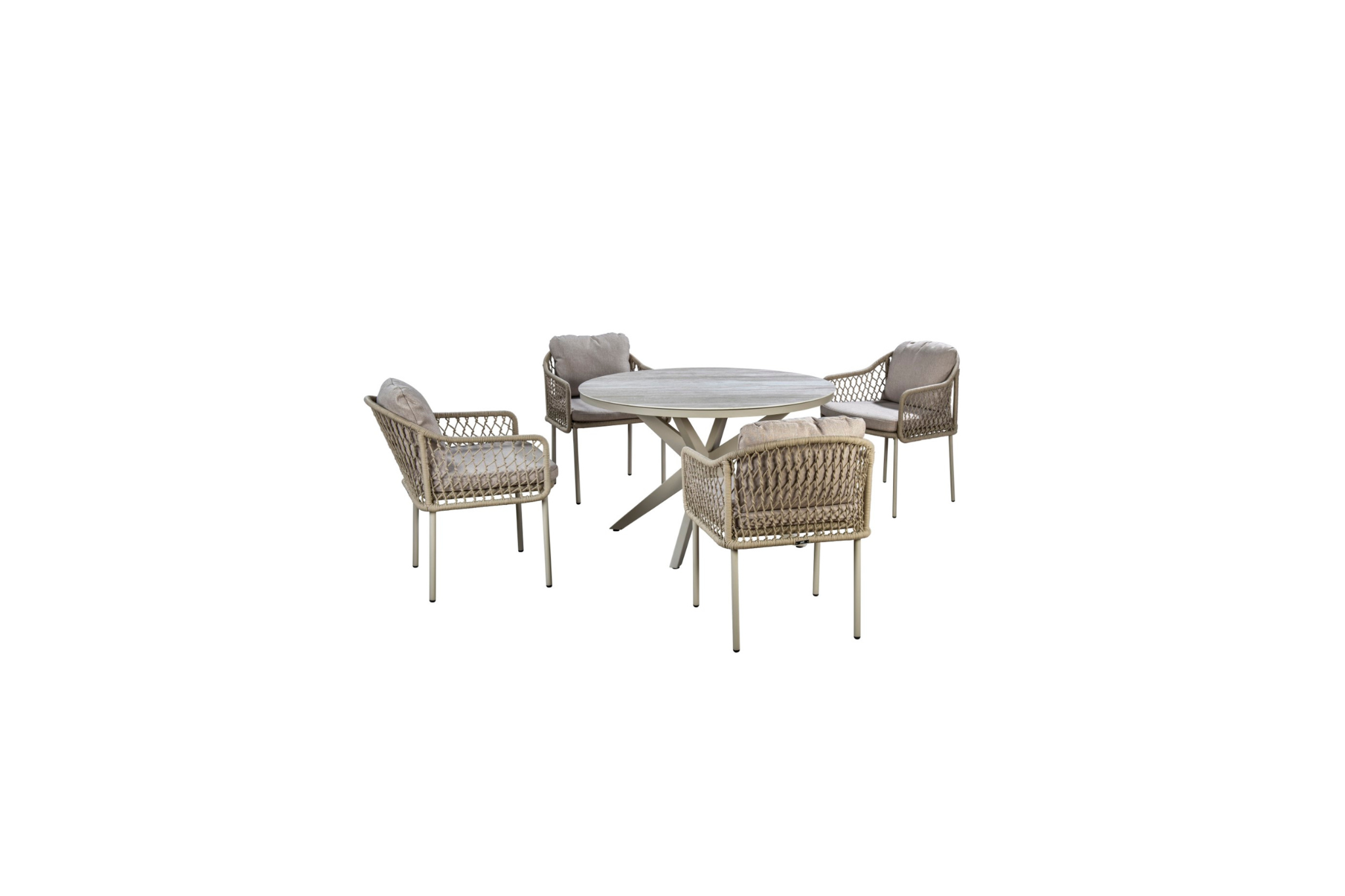 Salix | Salix | Flax Feige