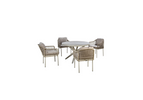 Salix | Salix | Flax Feige