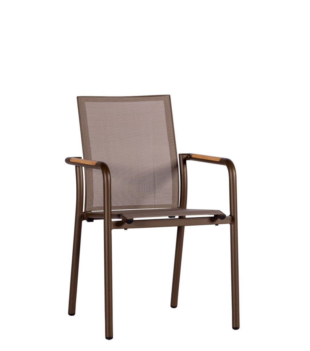 Bronze | Bruin